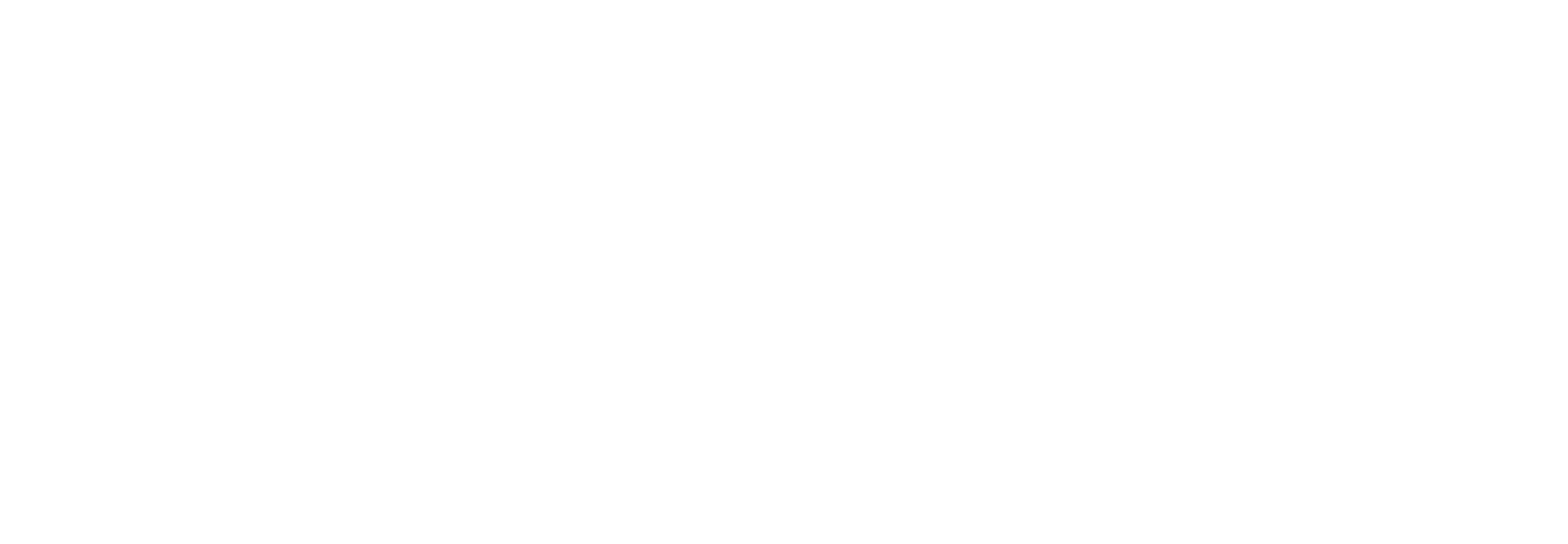 Visma Verzuim logo